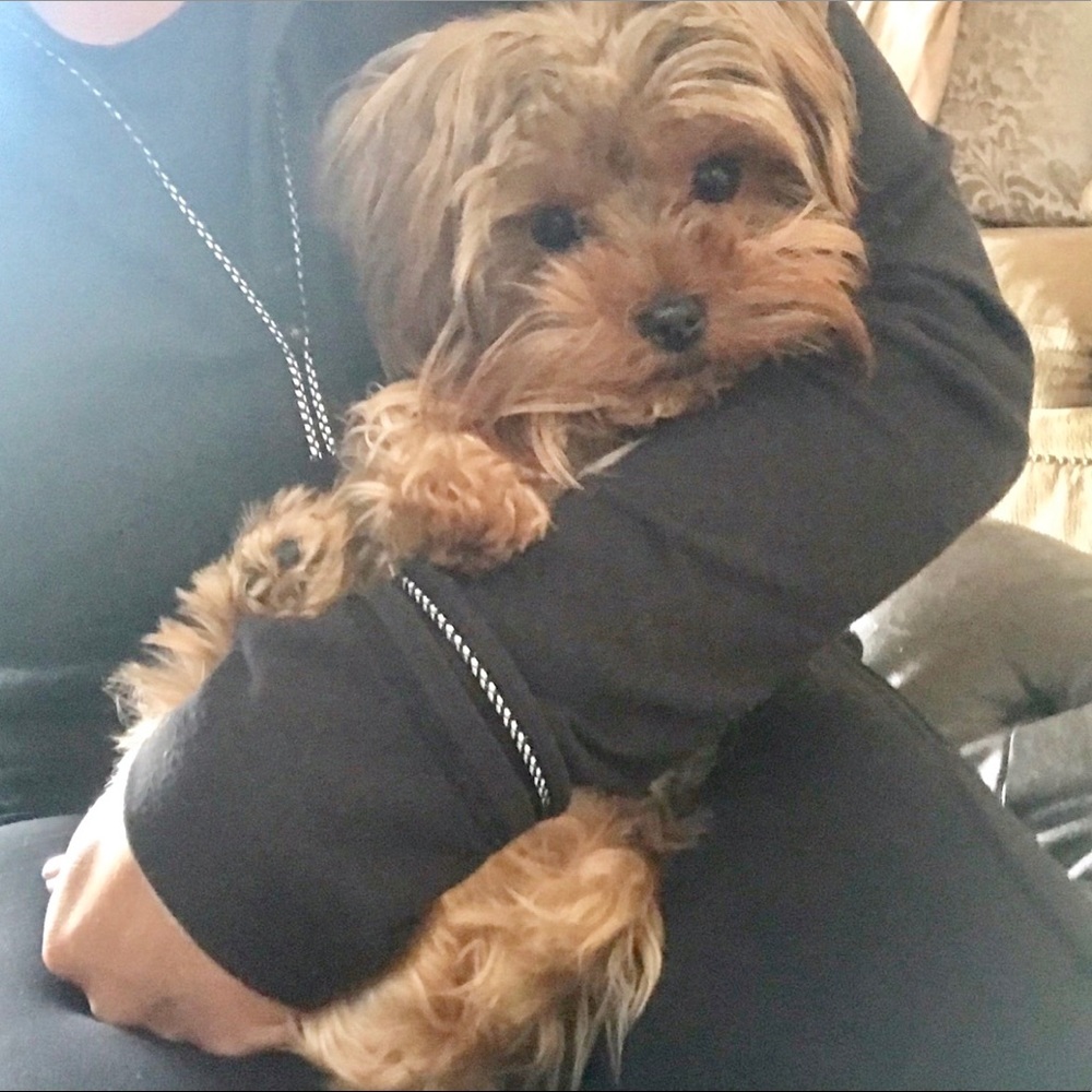 Meet your Posher, Kenzie